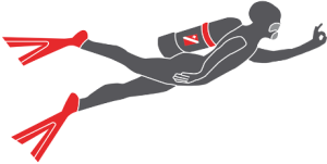 DAN - Divers Alert Network South Africa -Scuba diver